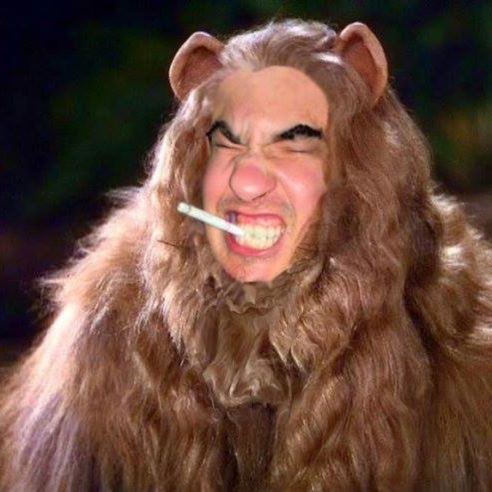 Meet your Posher, Patrick